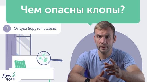 Чем опасны постельные клопы? Уничтожение и обработка от клопов