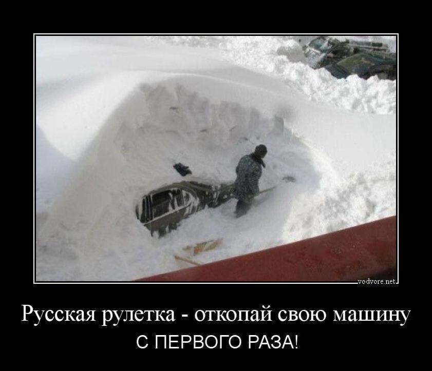 Фото из свободных источников интернета 