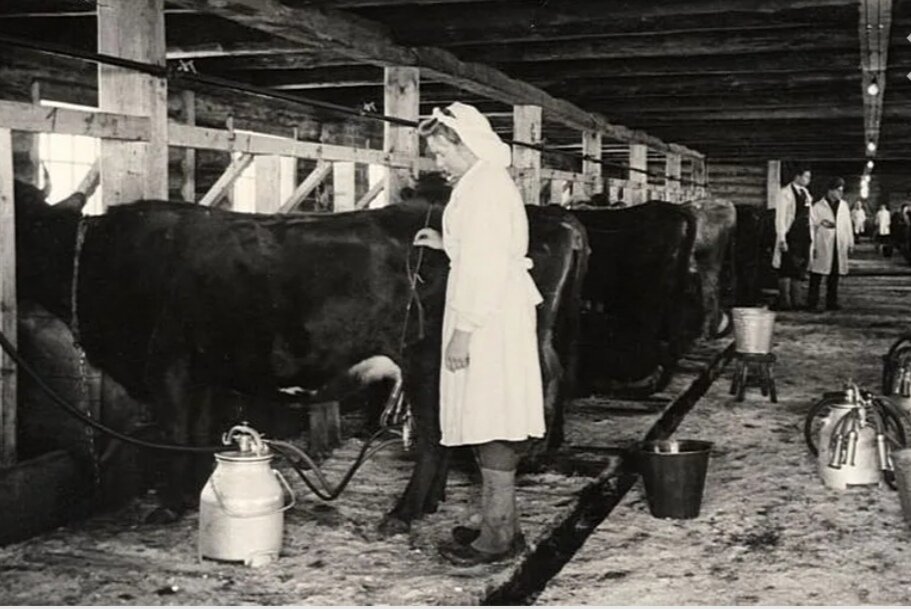 Картинка из доступных источников. Автор неизвестен. 