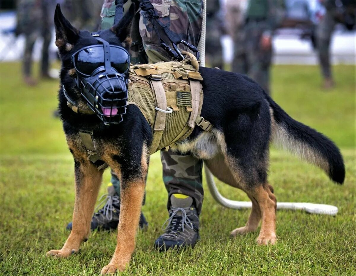 Кто сказал, что хороший мальчик не может быть крутым? 