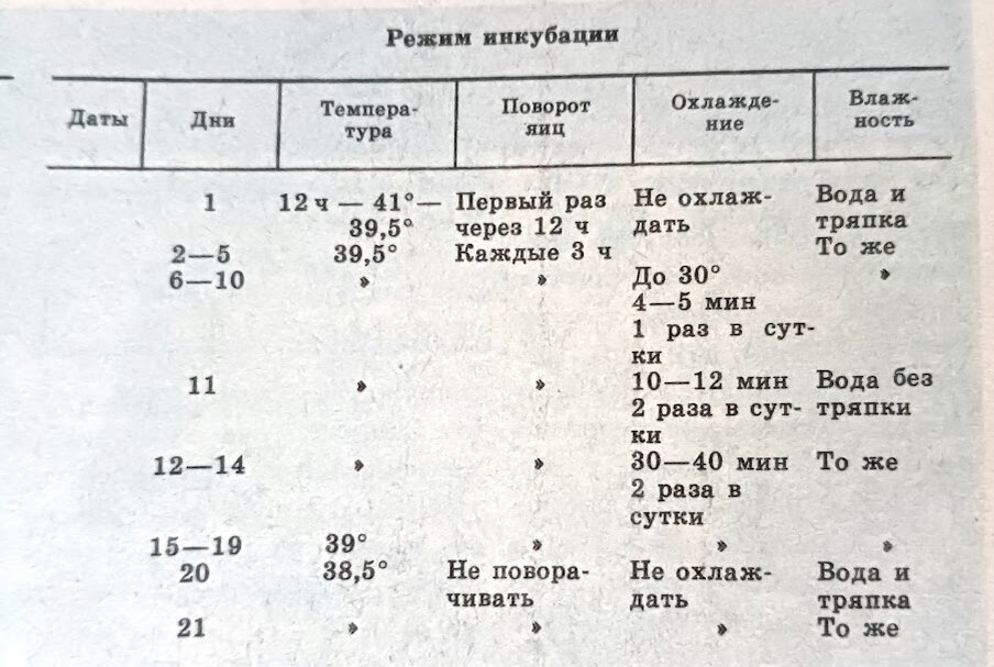 Инкубаторы