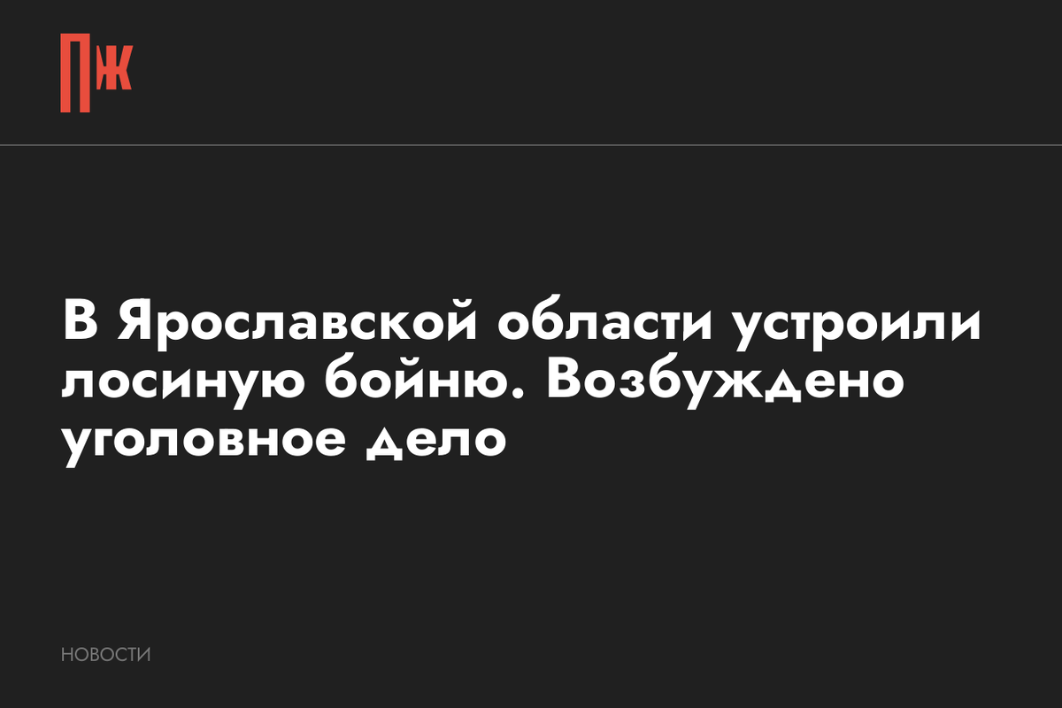     В Ярославской области устроили лосиную бойню. Возбуждено уголовное дело