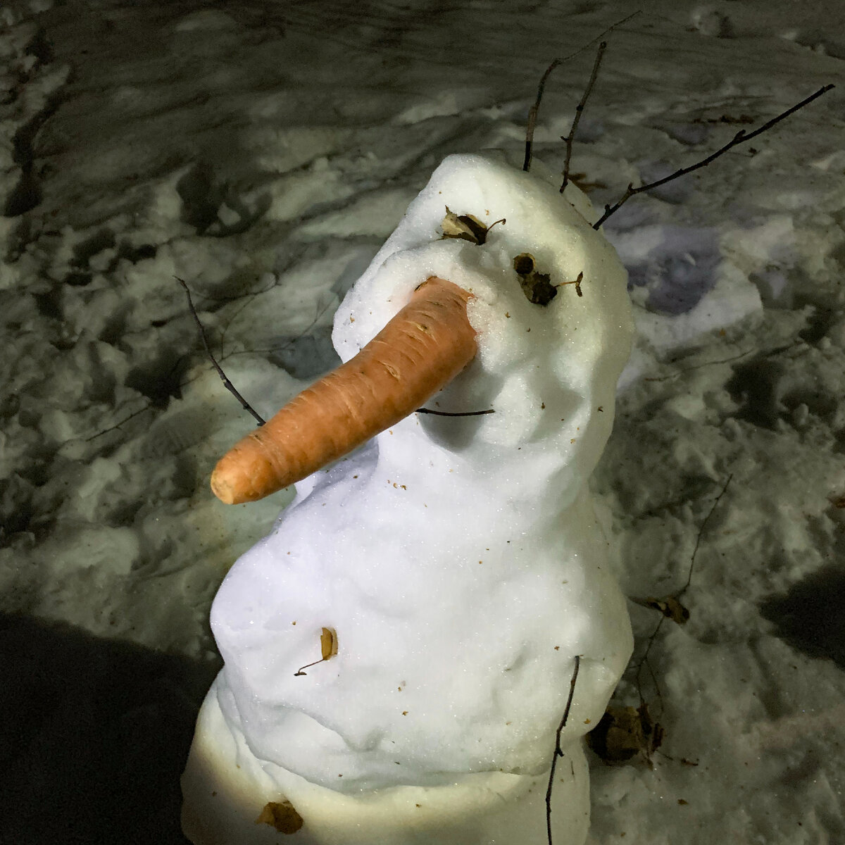 Этого носатого заметил вторым =)