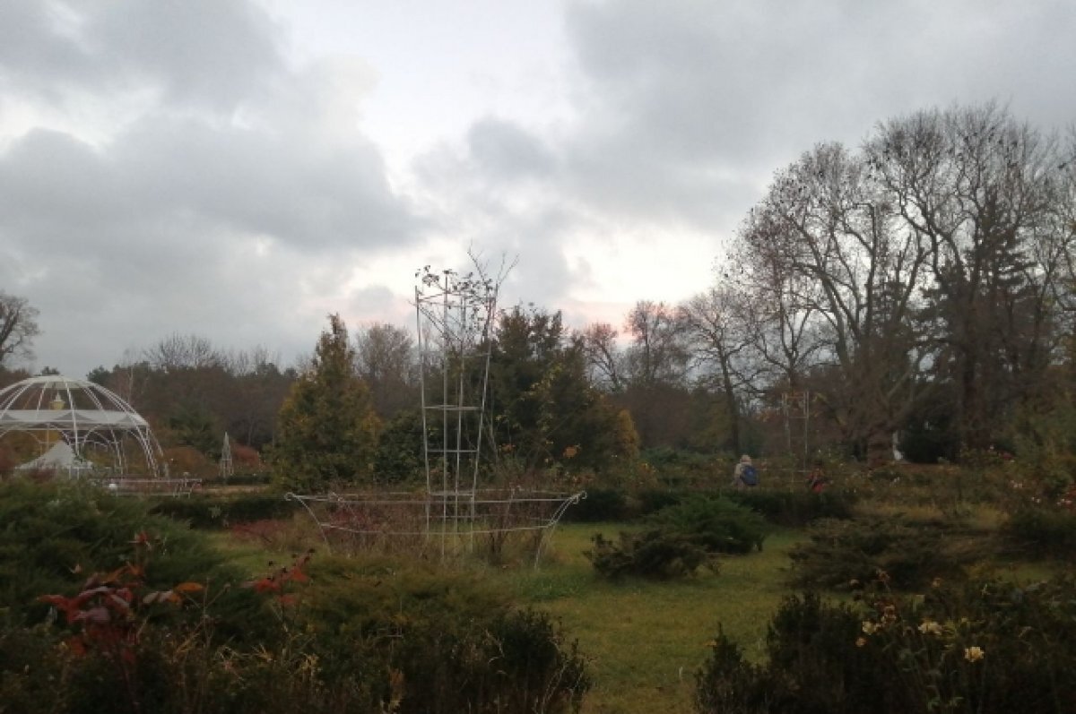    Крым: погода на неделю с 26 декабря