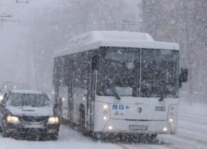    Фото: donday.ru Ксения Смирнова