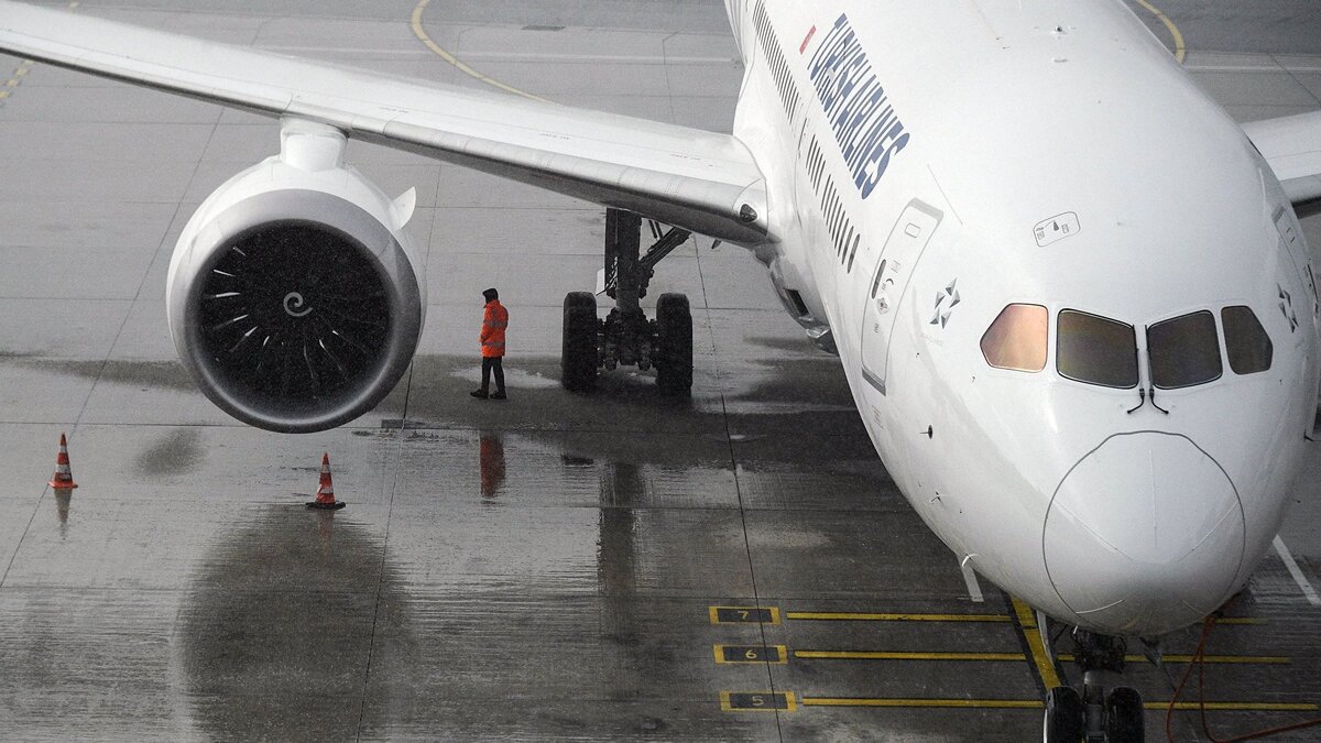    Самолет авиакомпании Turkish Airlines в Международном аэропорту Стамбул© РИА Новости . Максим Блинов