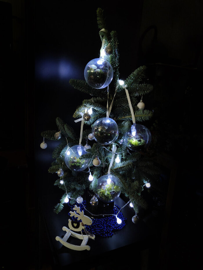 Листайте вправо, чтобы увидеть больше изображений