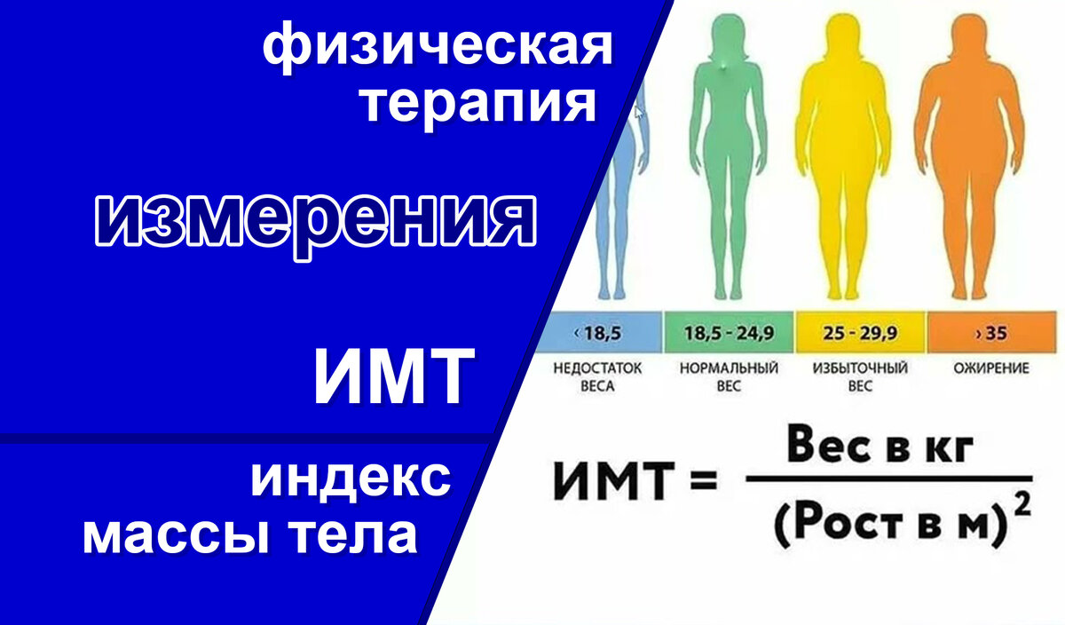 Индекс массы тела (ИМТ) | Специалист по физ-й реабилитации | Бойцов Сергей  Н. Новгород | Дзен