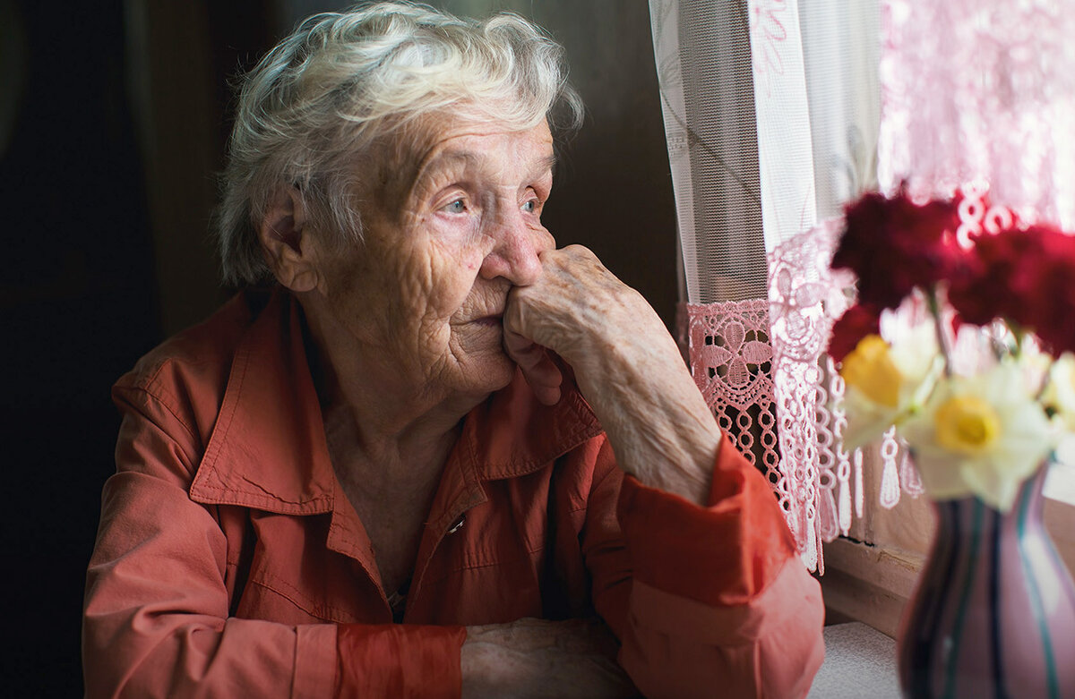 Фото из открытого доступа в интернете