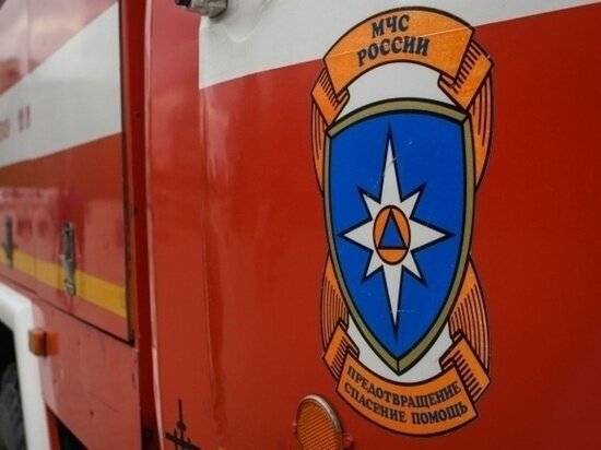     фото пресс-службы ГУ МЧС края