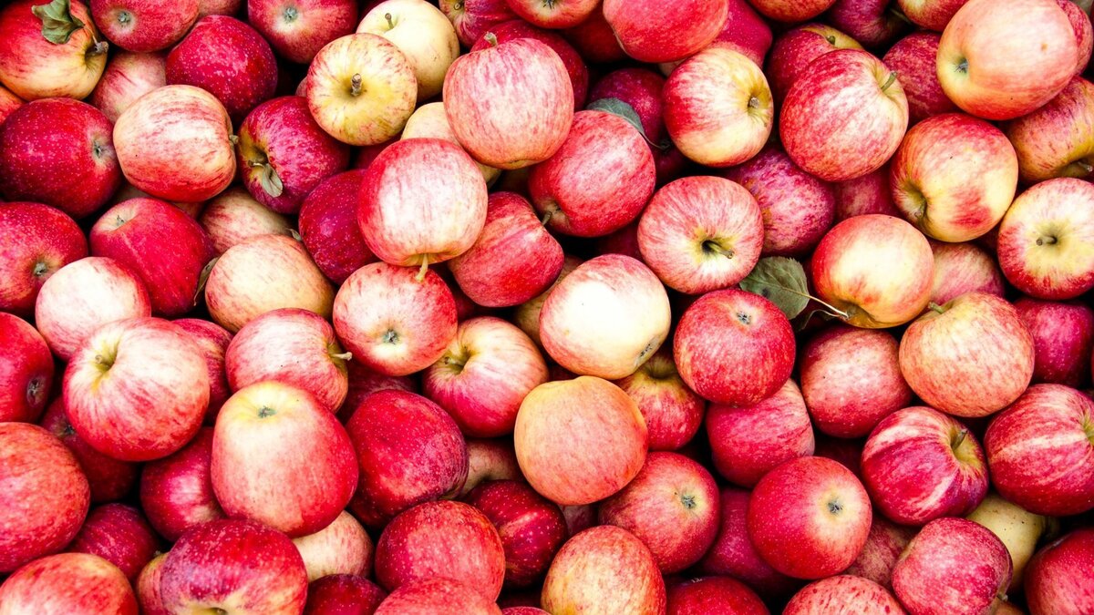 52 средних яблока - это 12,5 кг. Я пыталась считать на фото, сбилась. Фото из свободных источников