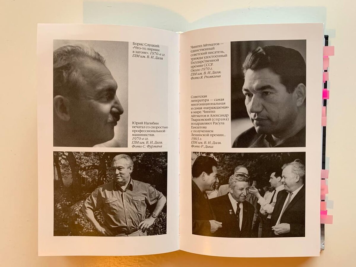 Как жили, писали, отдыхали, эмигрировали и умирали советские писатели. О  книге А. Васькина «Повседневная жизнь советских писателей...» | Книжная  аптека | Дзен