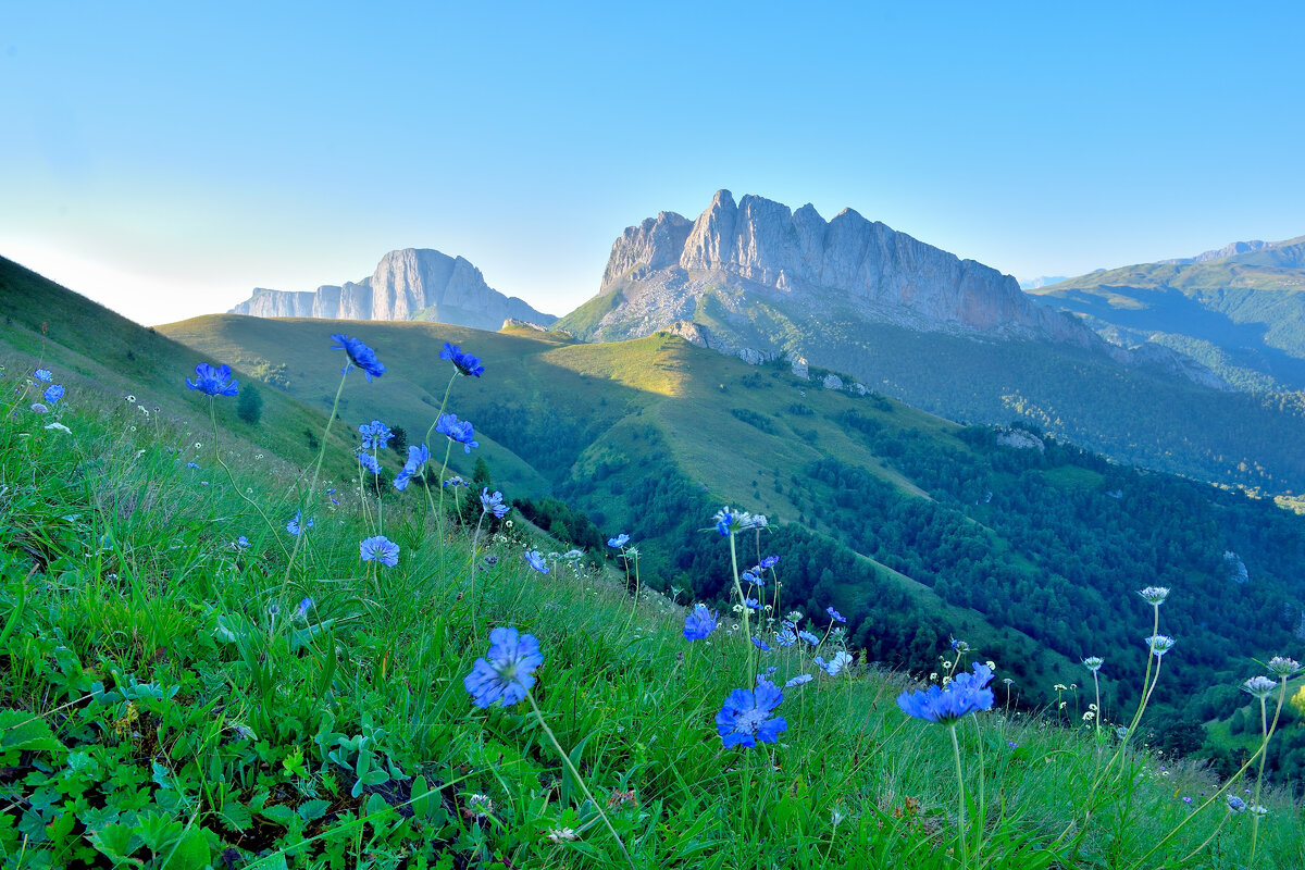 Западный Кавказ