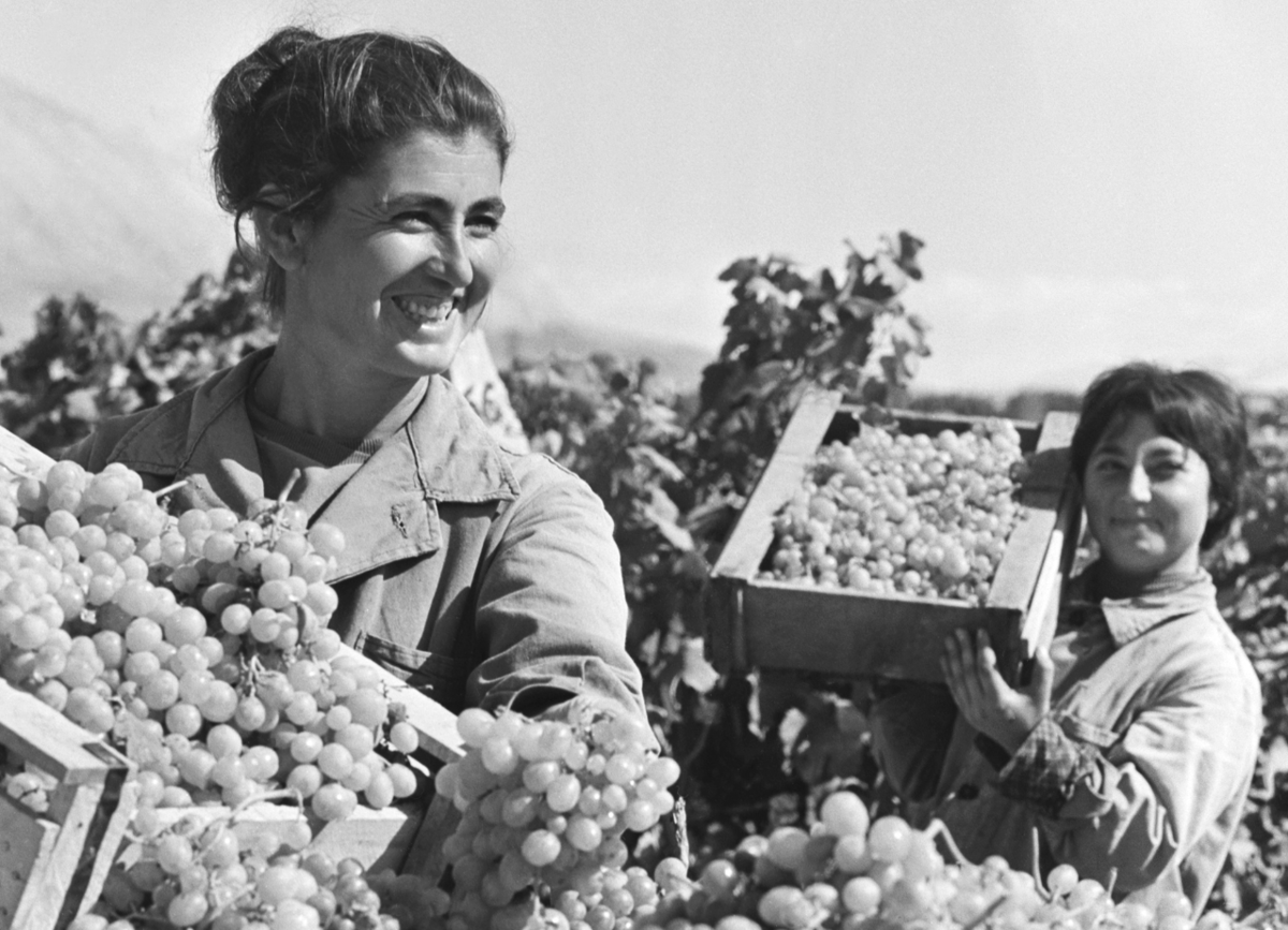 Фото Э. Исаакяна, В. Соболева / ТАСС