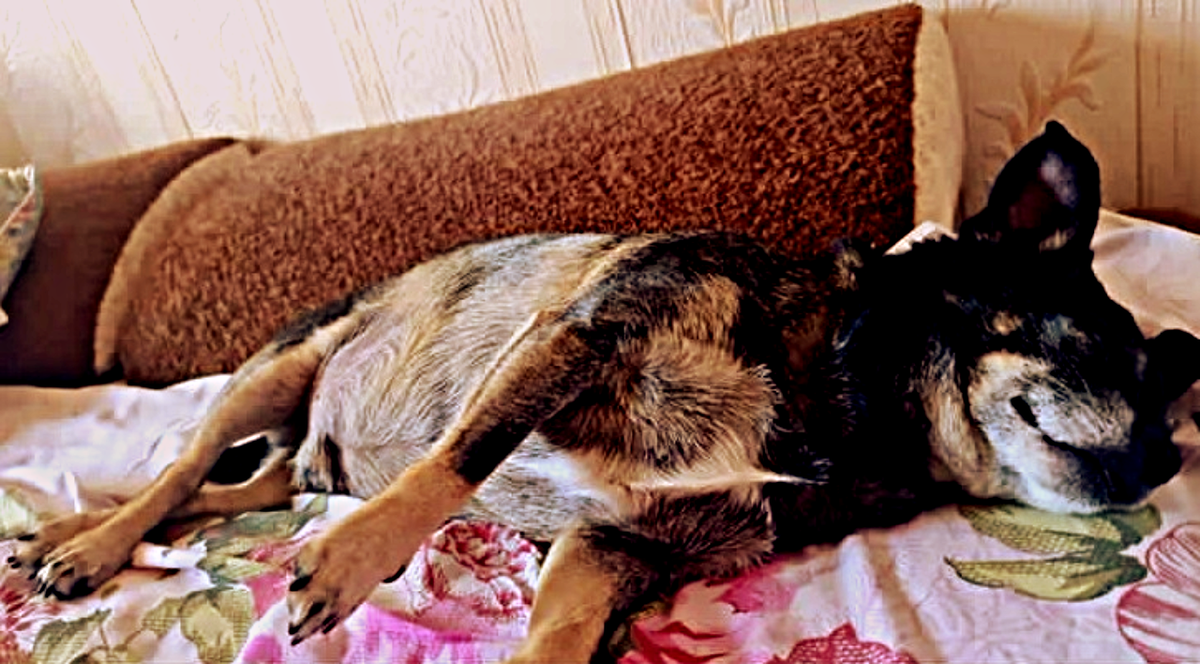 Тим в прошлом нежится в спокойствии и заботе Фото: СУПЕРОМСК