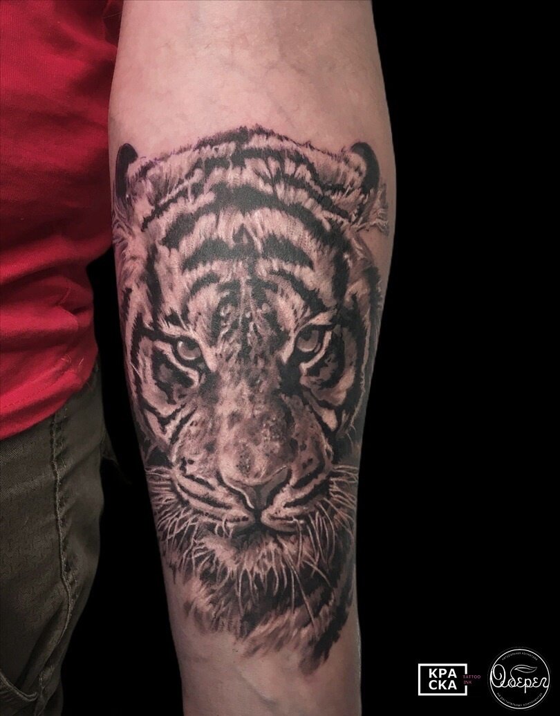 Работа Тимофея