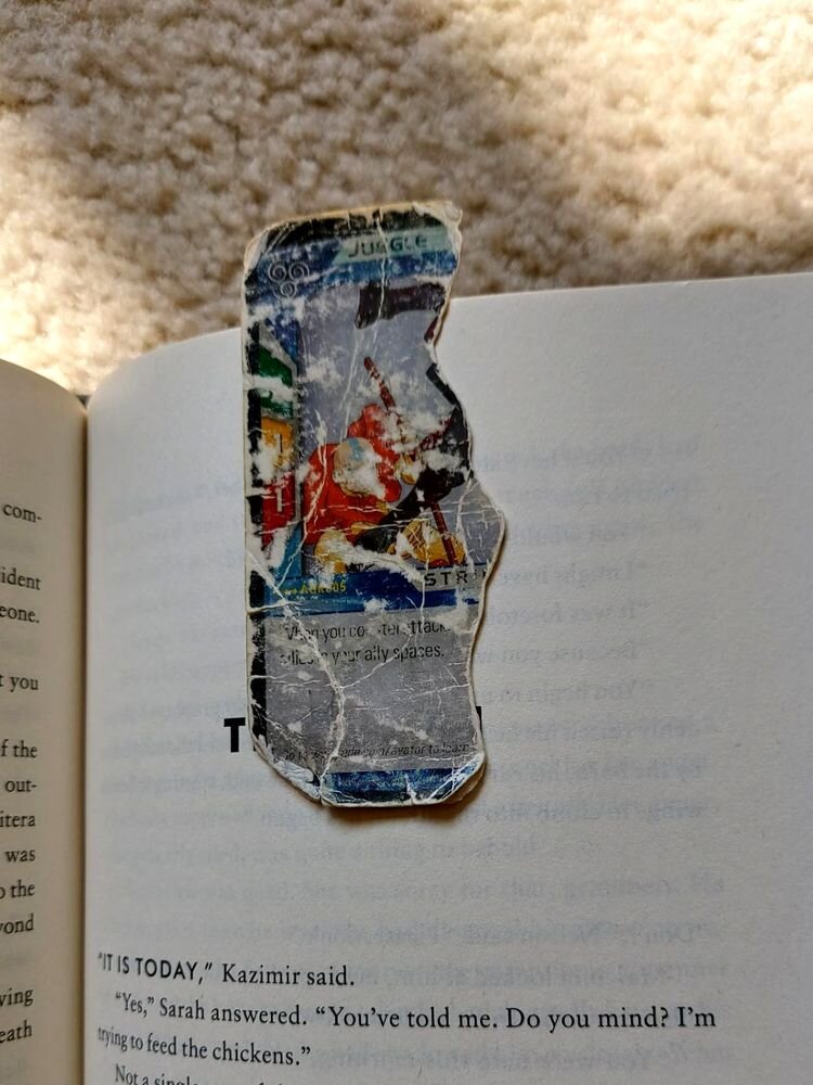 Источник: https://www.reddit.com/r/mildlyinteresting/comments/15wdpfg/ive_been_using_the_same_bookmark_for_seventeen