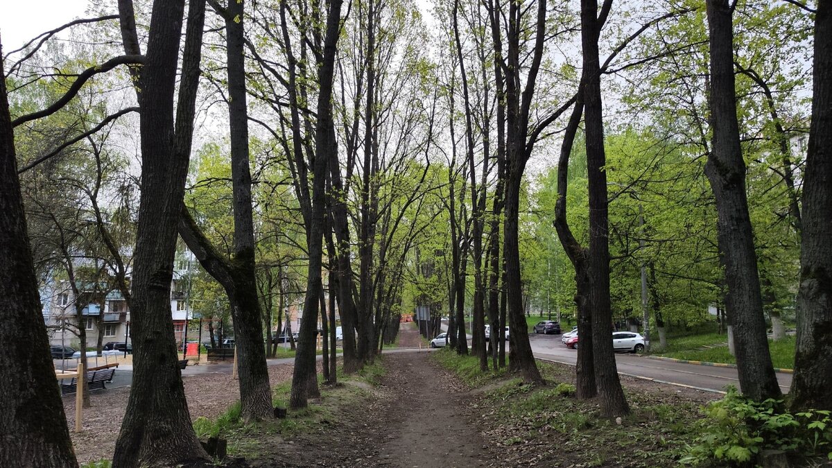     В 2021 году деньги на ремонт дороги от деревни Кузнечихи до дома №116 на улице Ванеева в Нижнем Новгороде не выделялись. Об этом NewsNN рассказали в городском дептрансе.