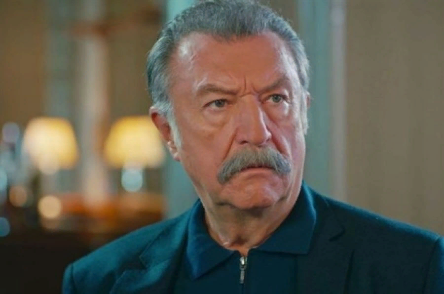 Mylf tamer. Тамер Левент. Тамер Левент актер. Левент Юльген турецкий актёр. Господин Левент енка.