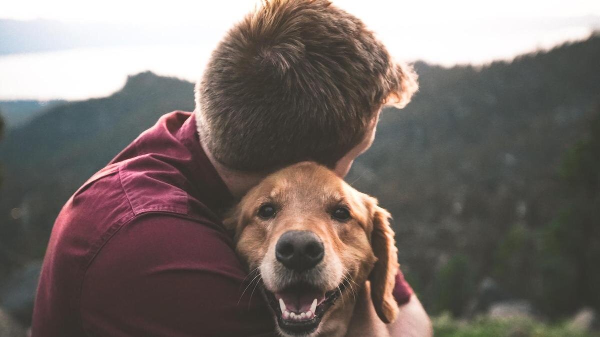    Мужчина обнимает собаку:Unsplash/Eric Ward