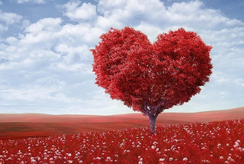 Фото: pixabay.com