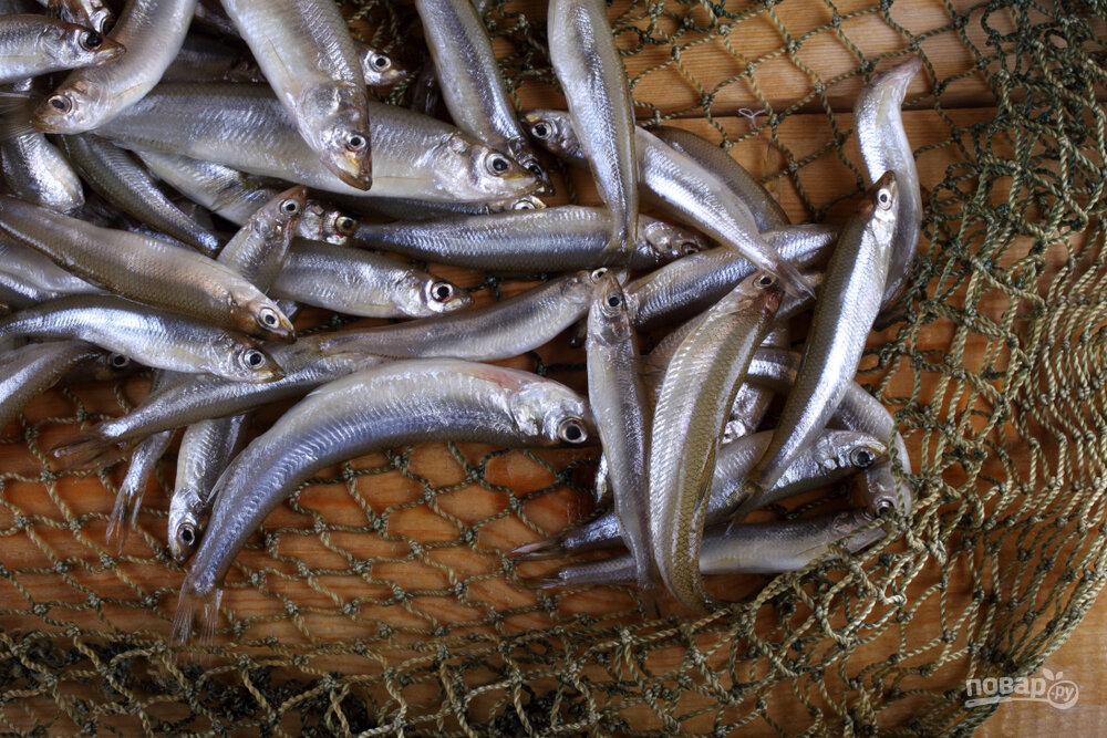 Свежая корюшка пахнет нарезанными огурцами