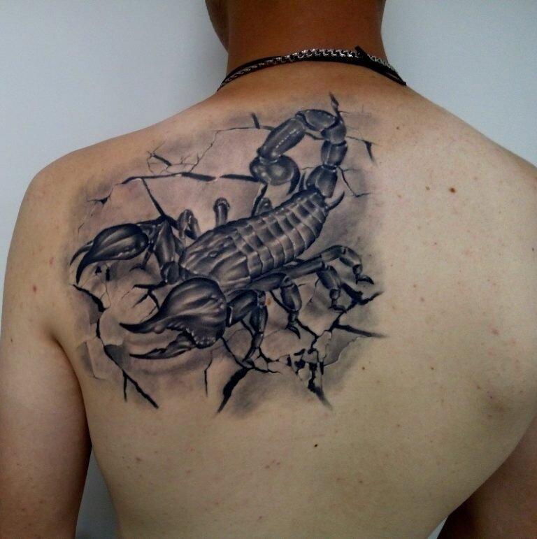 Фото из открытых источников.