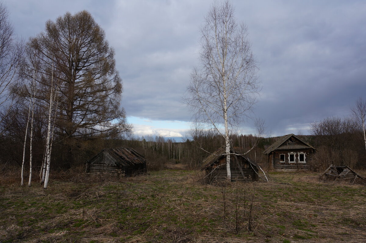 Кошелево тверская область фото