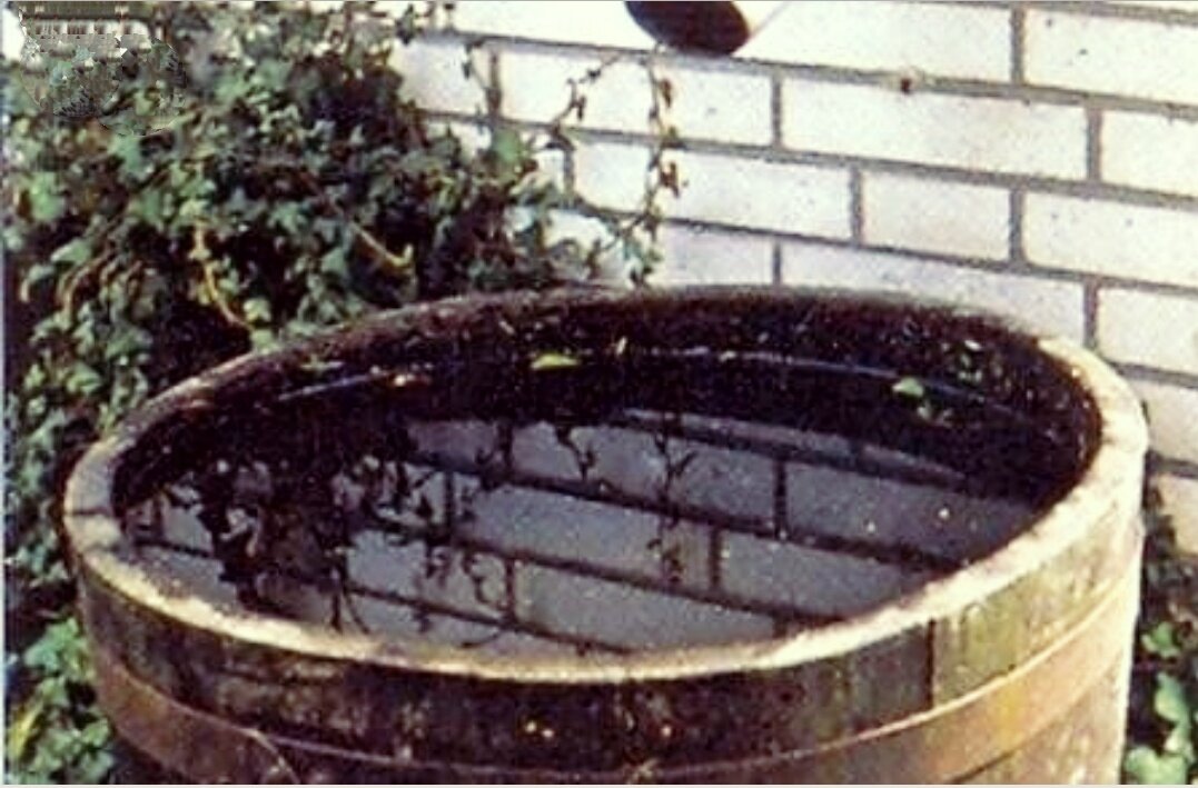 Бочка - место концентрации самых маленьких членов банды. Отсюда они умудрились испить по несколько глотков "чая"