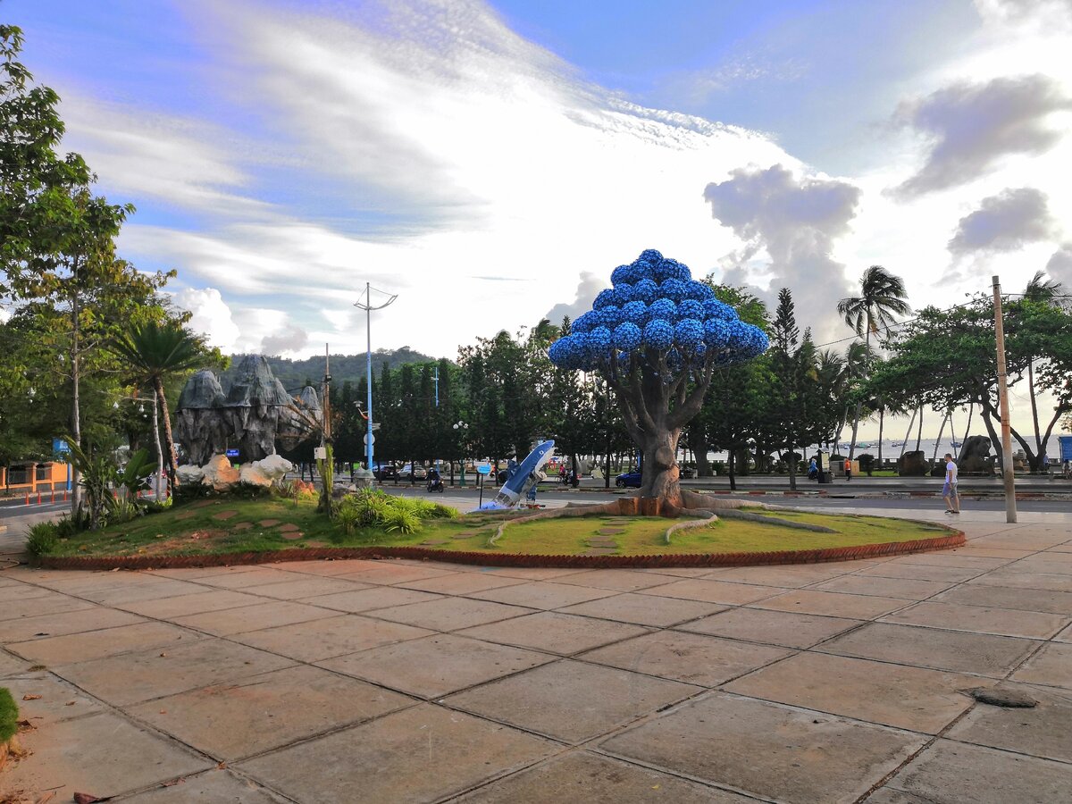 Парк у пляжа Бай Чуок