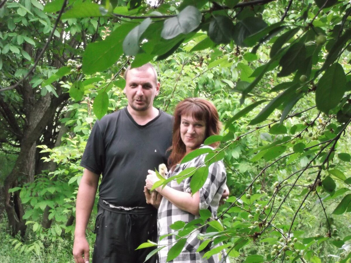 Я впервые увидела настоящего живого гусенка :-)