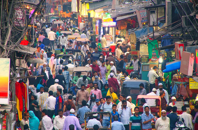 Фото: Don Mammoser / Shutterstock.com