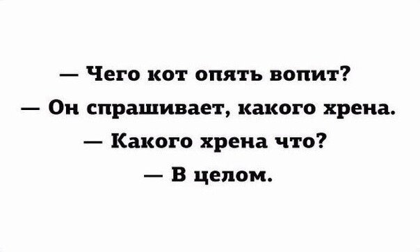 Ни за что мессир заорал кот и тут же вылез из под кровати