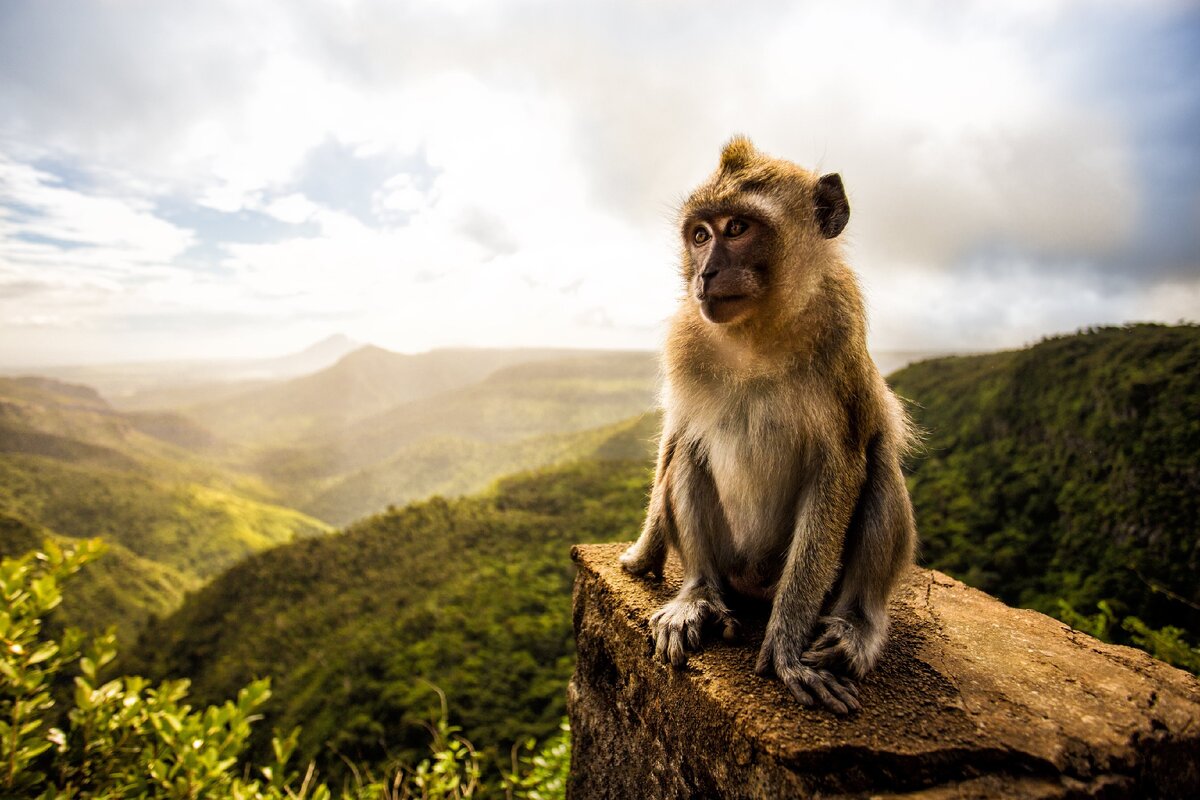 Источник ЯндексКартинки 