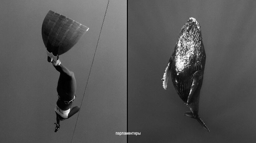 Фото из открытого источника "Визуальная философия"