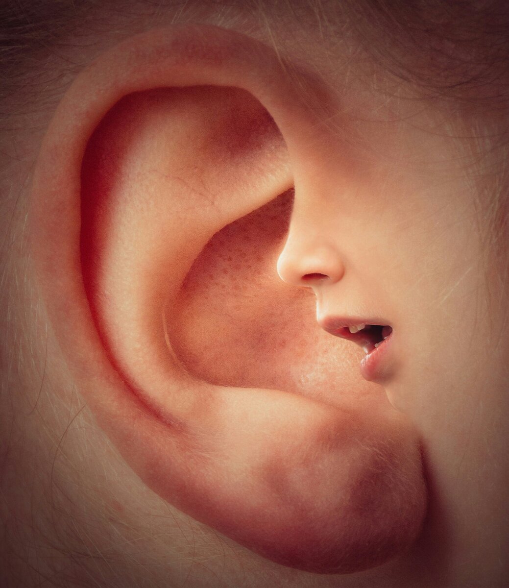 фото взято из pixanay