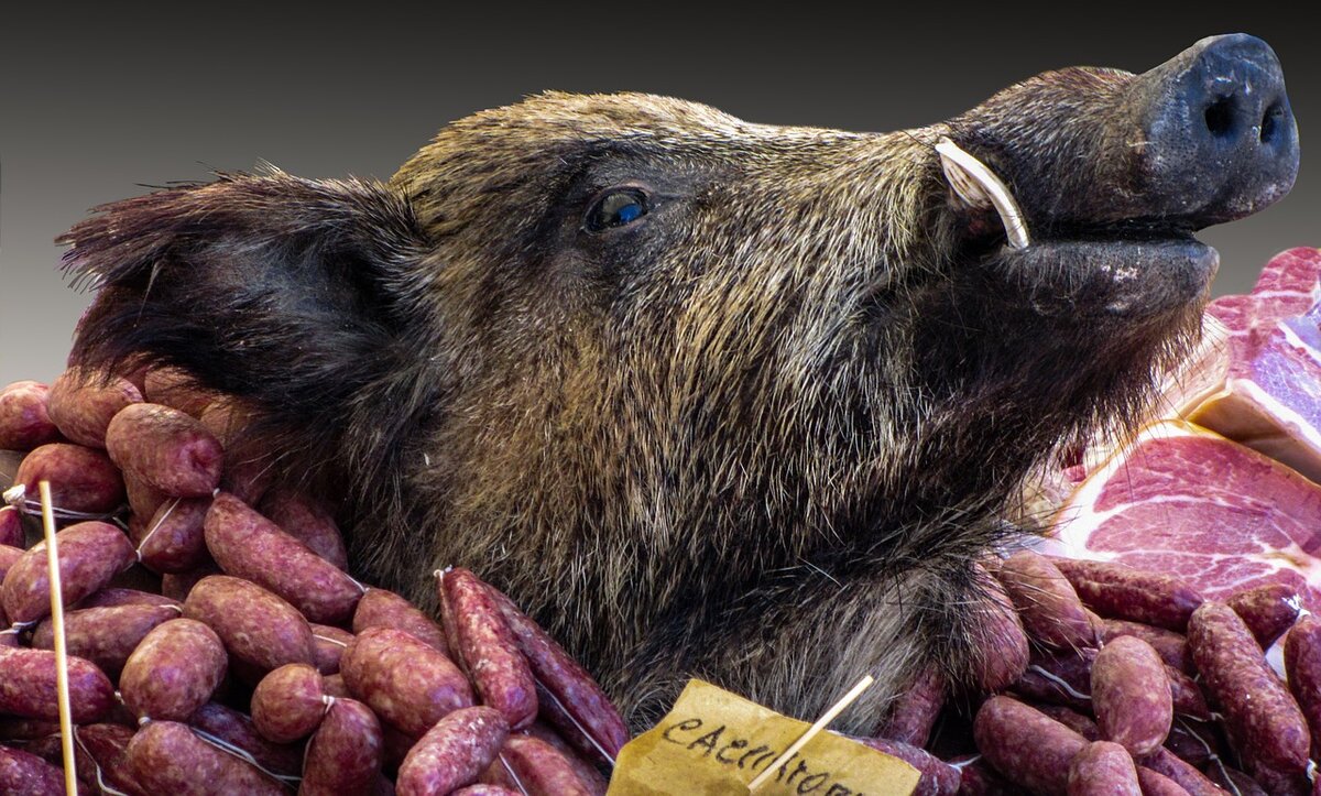 Фото из открытых источников