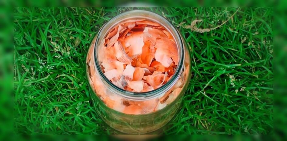 В луковичной шелухе содержится разные микроэлементы