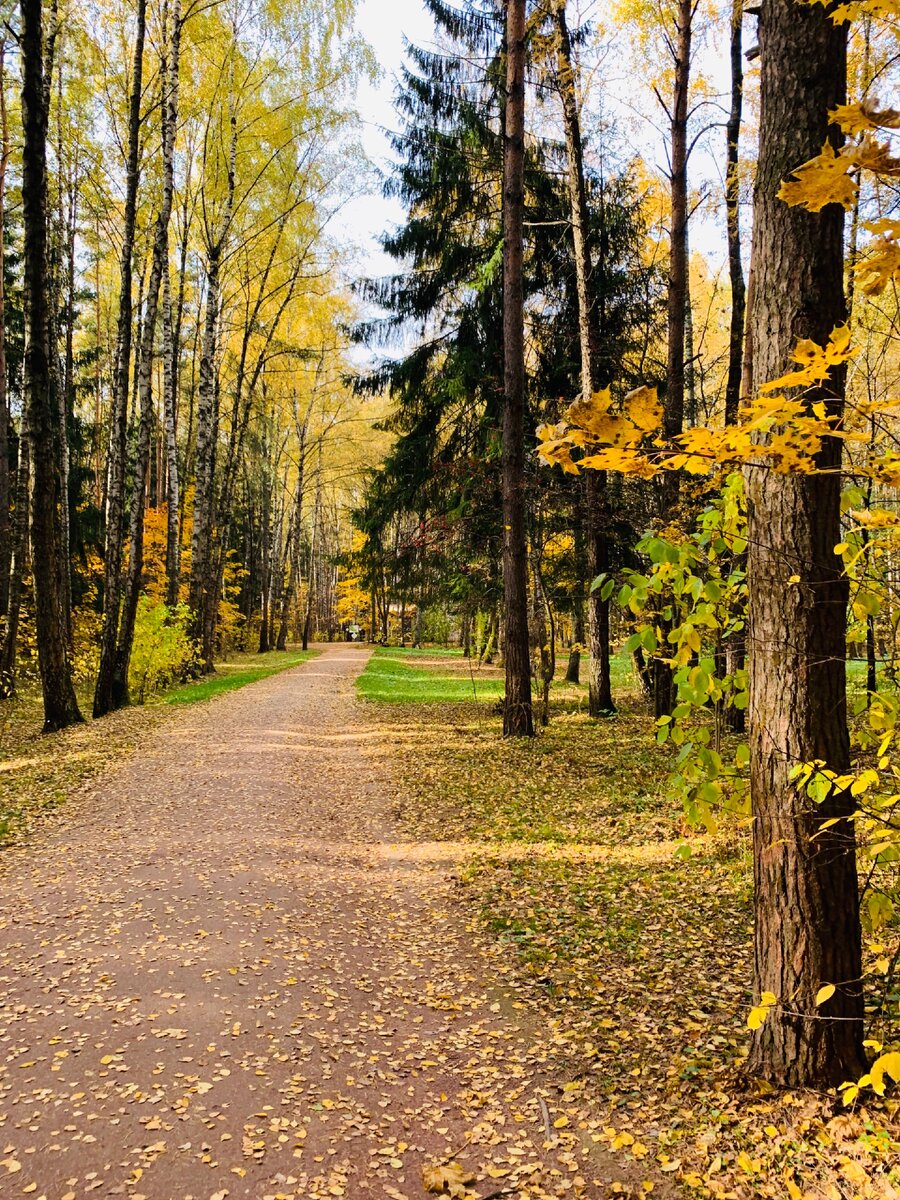 мещерский парк