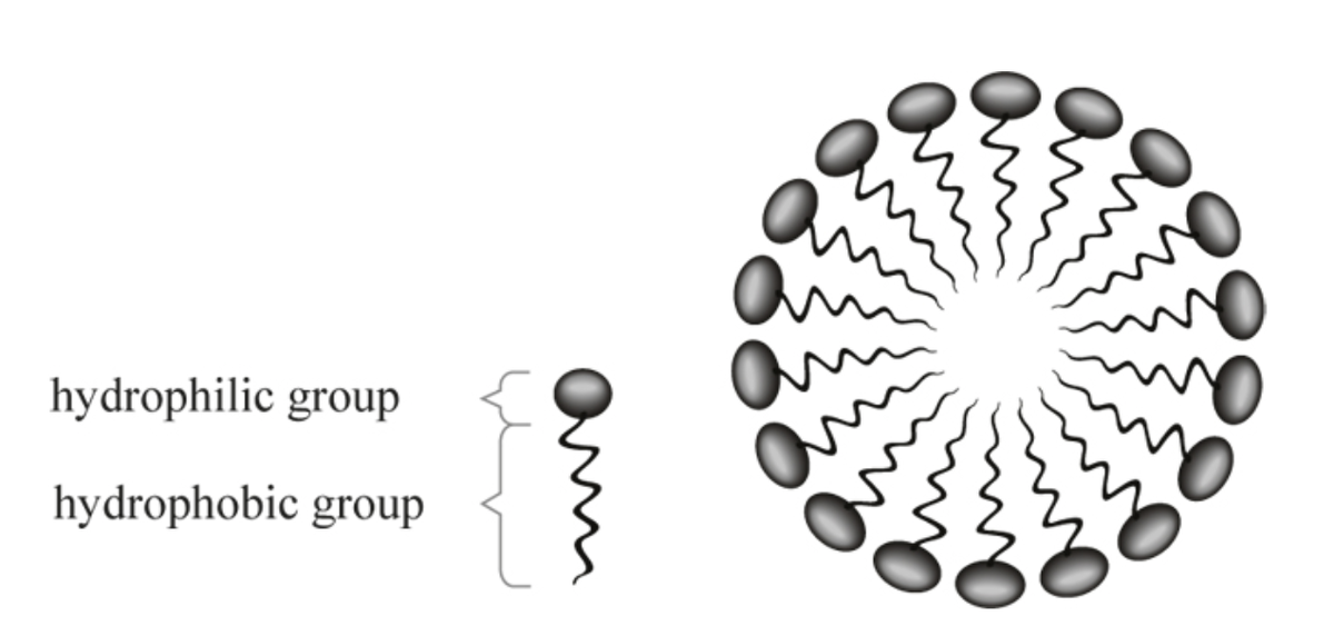Слева на картинке ПАВ, справа – состоящая из них мицелла.