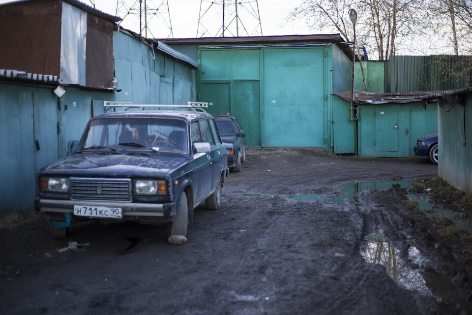 Вот так она появилась у нас по соседству
