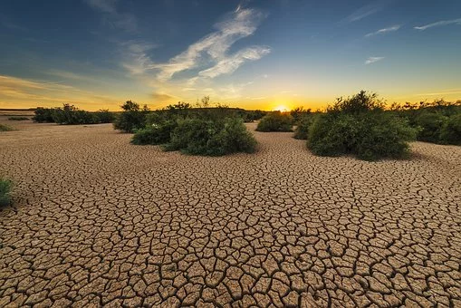 https://pixabay.com/photos/drought-dehydrated-clay-floor-earth-1675729/
