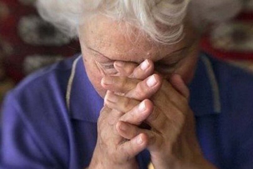 фото из интернета.