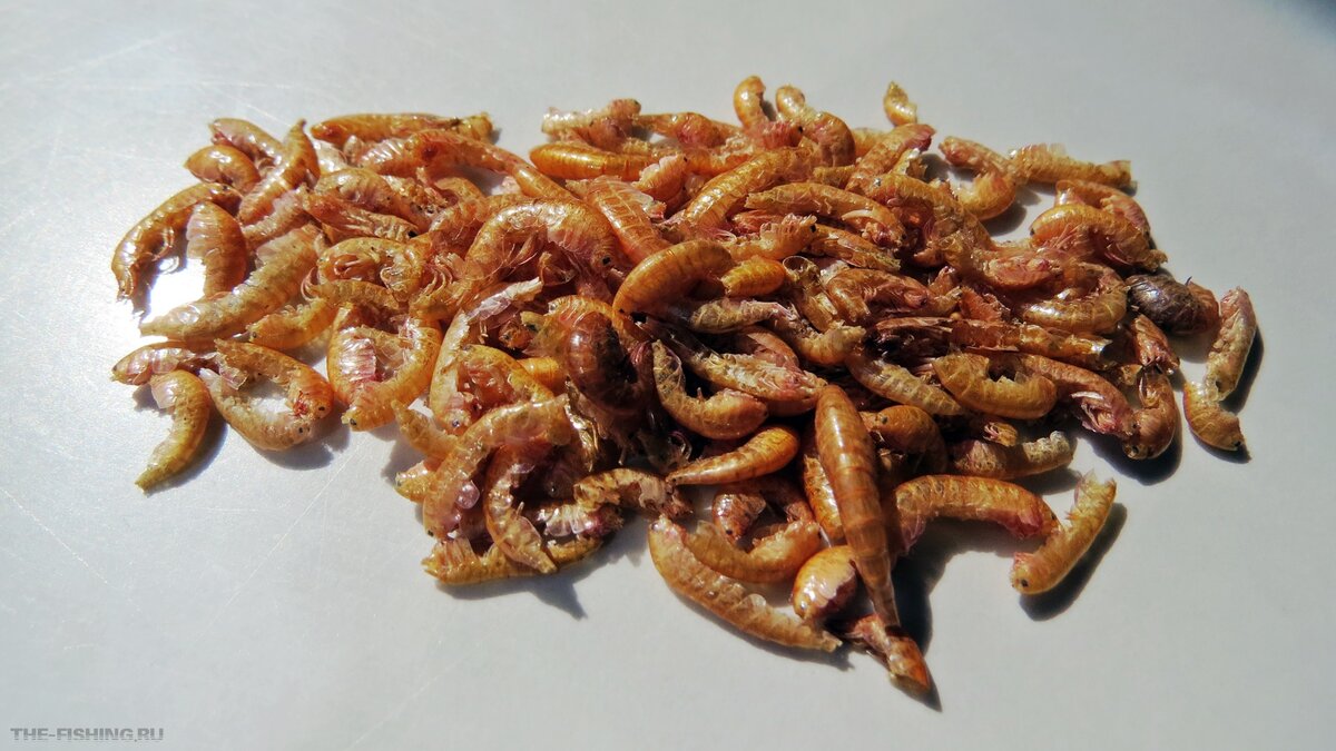 Сушеный мормыш (гаммарус)