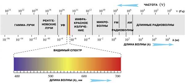 Спектр электромагнитных волн. Наш глаз воспринимает только узкий диапазон излучений.