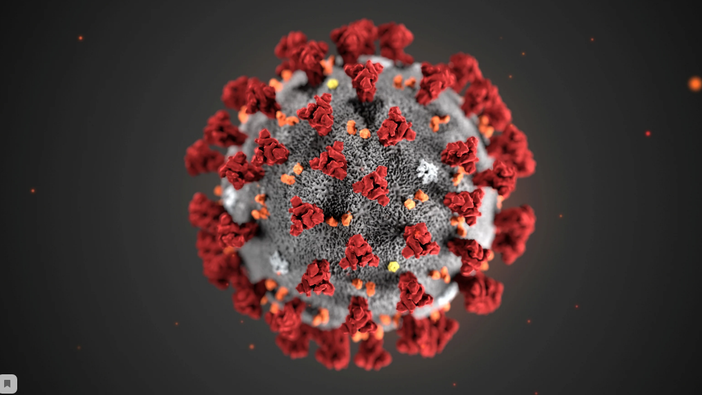 Covid-19(Яндекс фото)