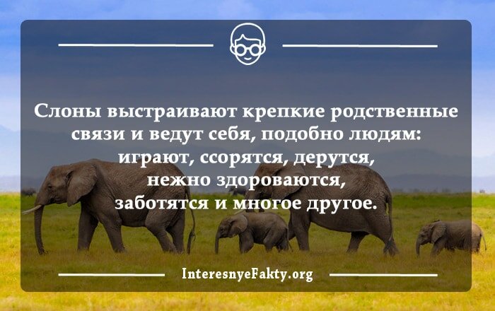 Забавный случай произошел в США, в штате Индиана: власти арестовали обезьяну за курение в общественном месте.