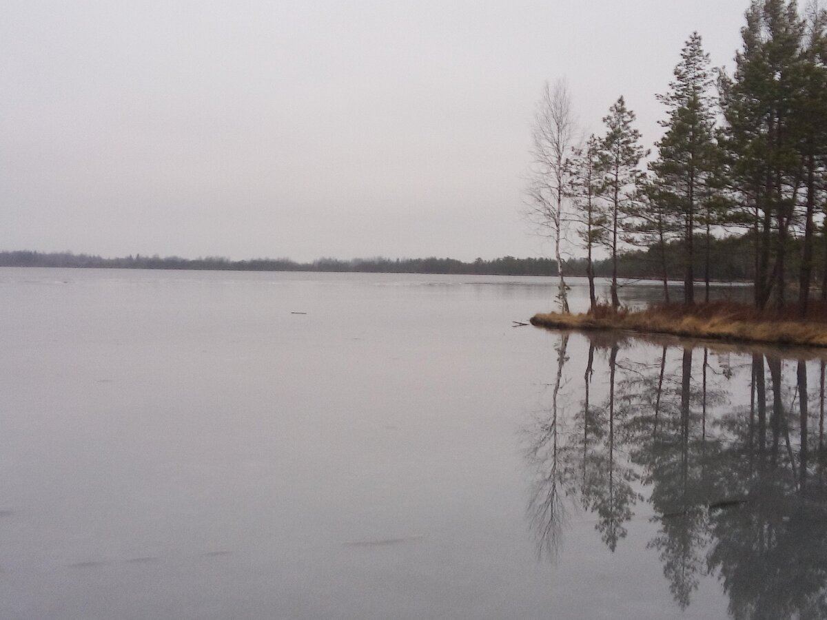 Вдали - не лёд другого цвета, а открытая вода...