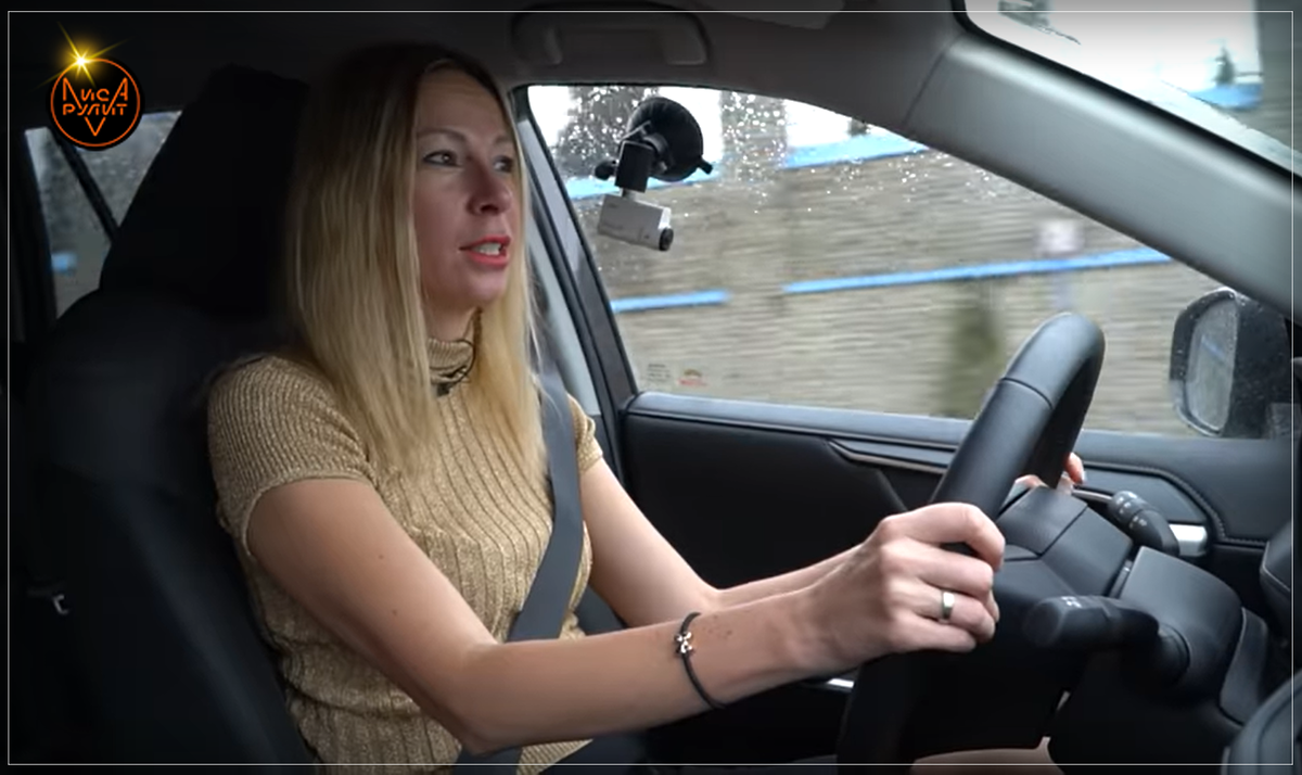 Лиса рулит на пляже