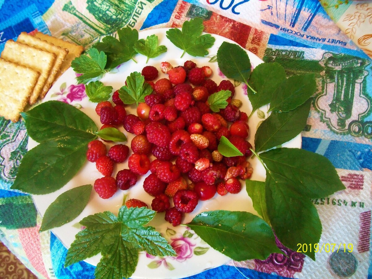 Ягоды из моего двора.